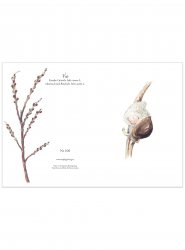 Blomsterkort vide 11x15 cm, Maj Fagerberg
