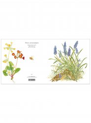 Blomsterkort vårtutor 15x15 cm, Maj Fagerberg