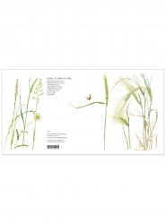 Blomsterkort gräsen 15x15 cm, Maj Fagerberg