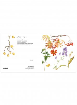 Blomsterkort höstfärger i trädgården 15x15 cm, Maj Fagerberg
