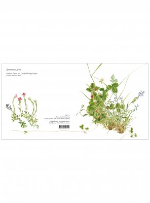Blomsterkort sommarens gåvor 15x15 cm, Maj Fagerberg