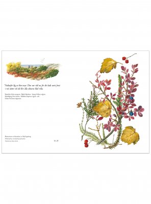 Blomsterkort nedanför låg en myr 11x15 cm, Maj Fagerberg
