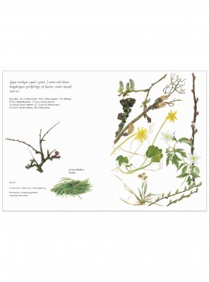 Blomsterkort långa tussilagon 14x18,5 cm, Maj Fagerberg