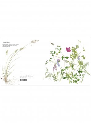 Blomsterkort gräsmarkshopp 15x15 cm, Maj Fagerberg
